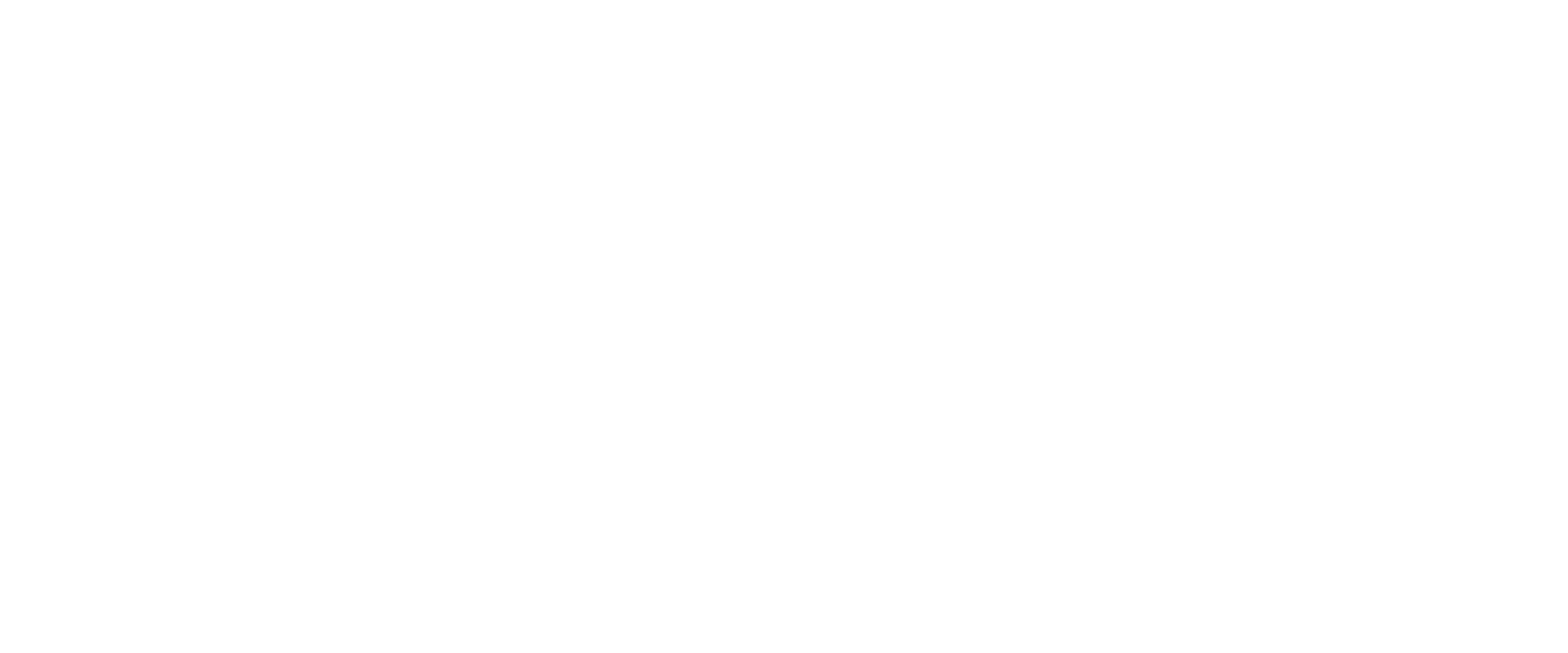 Neuron Capital